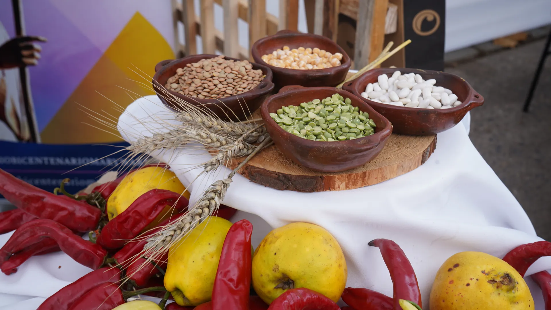 Preparaciones Tradicionales