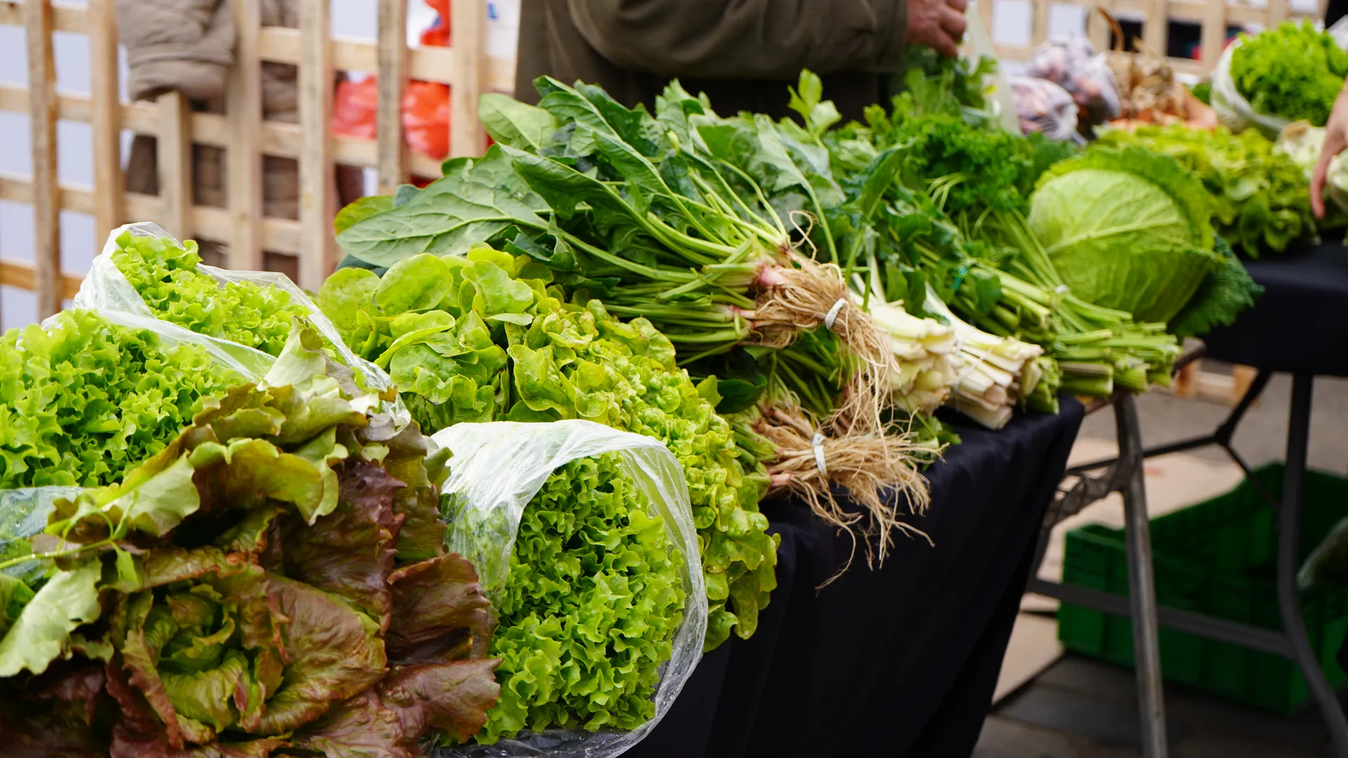 Ingredientes Chilenos